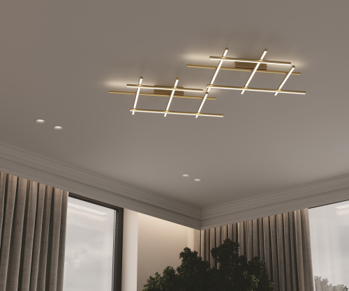 Потолочный светильник Maytoni MOD278CL-L50G3K фото 4